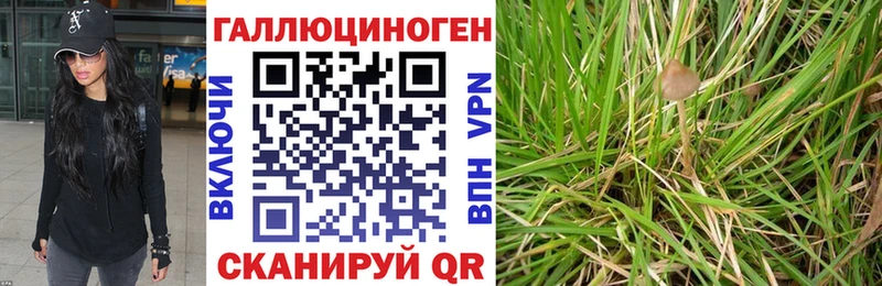 Псилоцибиновые грибы GOLDEN TEACHER  гидра ONION  Харовск  что такое наркотик 