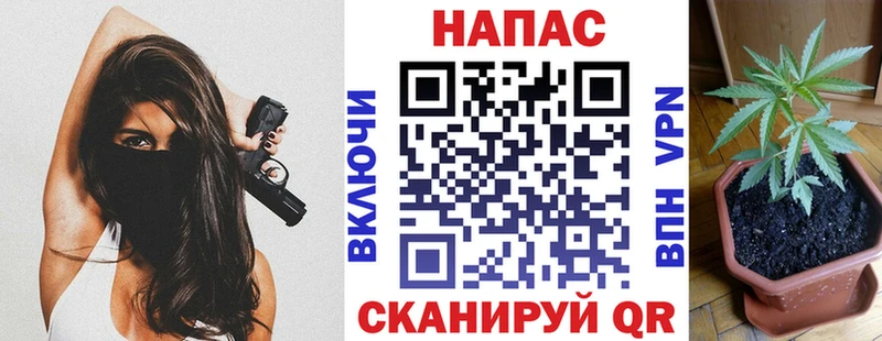 Бошки марихуана SATIVA & INDICA  где найти   Харовск 